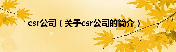 csr公司（關(guān)于csr公司的簡(jiǎn)介）