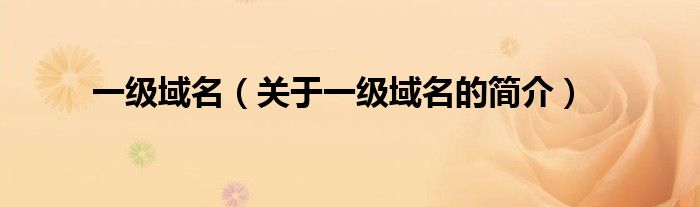 一級域名（關于一級域名的簡介）