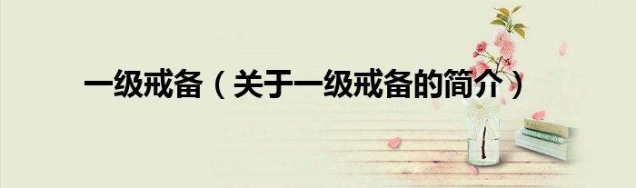 一級(jí)戒備（關(guān)于一級(jí)戒備的簡(jiǎn)介）