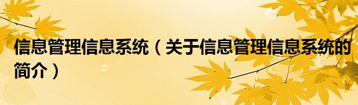 信息管理信息系統(tǒng)（關(guān)于信息管理信息系統(tǒng)的簡介）