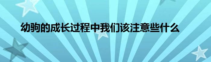 幼駒的成長過程中我們該注意些什么