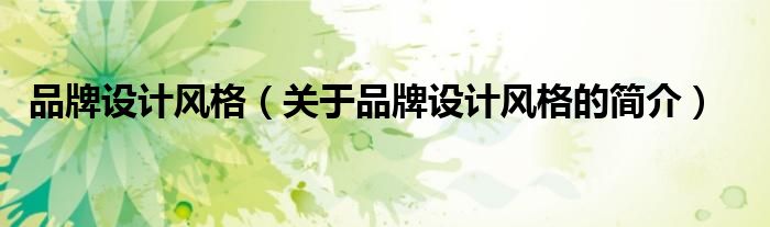 品牌設(shè)計(jì)風(fēng)格（關(guān)于品牌設(shè)計(jì)風(fēng)格的簡介）