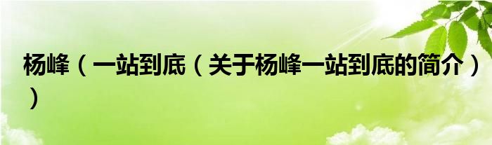 楊峰（一站到底（關(guān)于楊峰一站到底的簡(jiǎn)介））