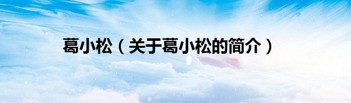 葛小松（關于葛小松的簡介）
