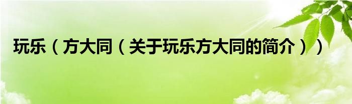 玩樂（方大同（關(guān)于玩樂方大同的簡(jiǎn)介））