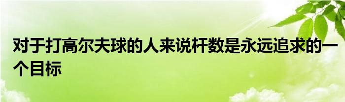 對于打高爾夫球的人來說桿數(shù)是永遠(yuǎn)追求的一個目標(biāo)