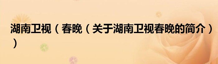 湖南衛(wèi)視（春晚（關(guān)于湖南衛(wèi)視春晚的簡(jiǎn)介））