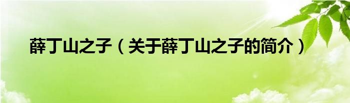 薛丁山之子（關(guān)于薛丁山之子的簡介）