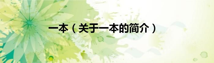 一本（關(guān)于一本的簡介）