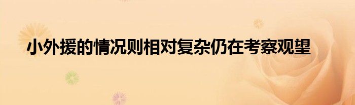 小外援的情況則相對復(fù)雜仍在考察觀望