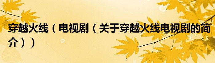 穿越火線（電視劇（關(guān)于穿越火線電視劇的簡介））