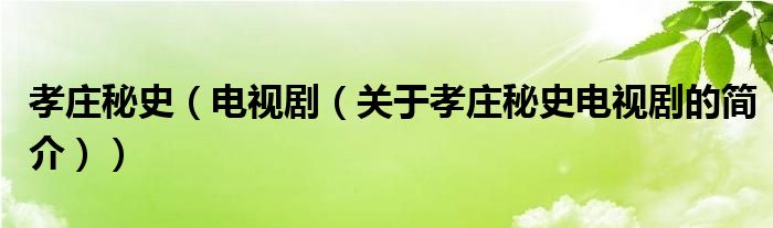 孝莊秘史（電視?。P(guān)于孝莊秘史電視劇的簡介））