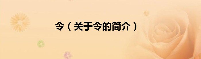 令（關于令的簡介）