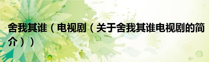 舍我其誰(shuí)（電視?。P(guān)于舍我其誰(shuí)電視劇的簡(jiǎn)介））