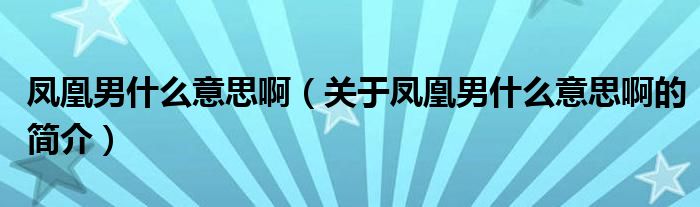 鳳凰男什么意思啊（關于鳳凰男什么意思啊的簡介）