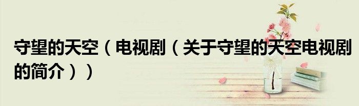守望的天空（電視?。P于守望的天空電視劇的簡介））