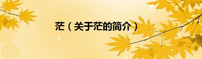 茫（關于茫的簡介）