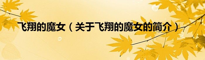 飛翔的魔女（關(guān)于飛翔的魔女的簡介）