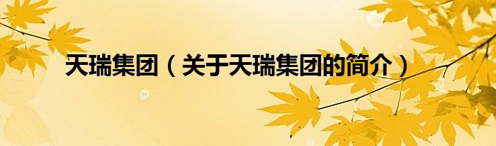 天瑞集團（關于天瑞集團的簡介）