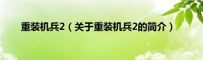 重裝機(jī)兵2（關(guān)于重裝機(jī)兵2的簡(jiǎn)介）