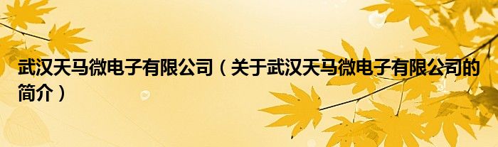 武漢天馬微電子有限公司（關(guān)于武漢天馬微電子有限公司的簡(jiǎn)介）