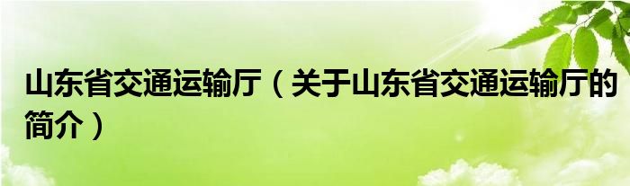 山東省交通運輸廳（關(guān)于山東省交通運輸廳的簡介）