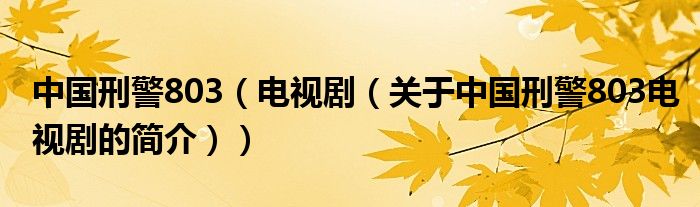 中國(guó)刑警803（電視?。P(guān)于中國(guó)刑警803電視劇的簡(jiǎn)介））