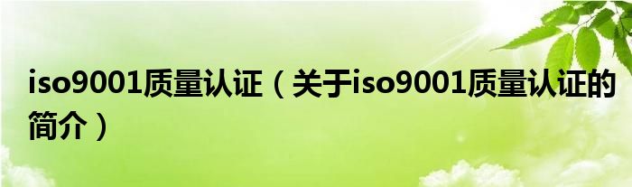 iso9001質量認證（關于iso9001質量認證的簡介）