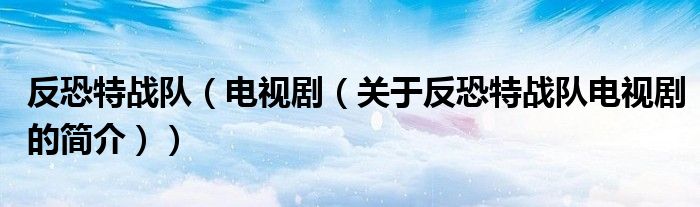 反恐特戰(zhàn)隊（電視?。P(guān)于反恐特戰(zhàn)隊電視劇的簡介））