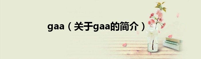 gaa（關于gaa的簡介）