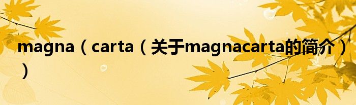 magna（carta（關于magnacarta的簡介））