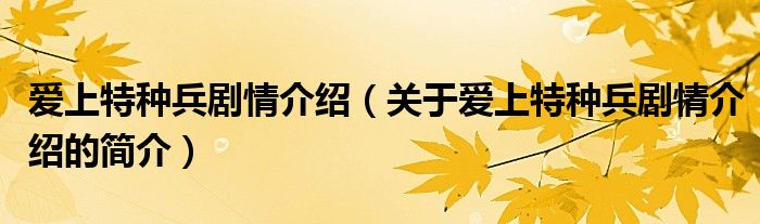 愛上特種兵劇情介紹（關于愛上特種兵劇情介紹的簡介）