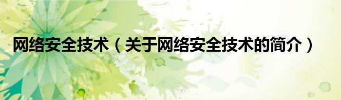 網(wǎng)絡(luò)安全技術(shù)（關(guān)于網(wǎng)絡(luò)安全技術(shù)的簡(jiǎn)介）