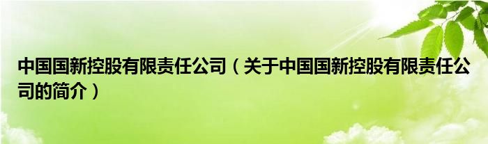 中國國新控股有限責任公司（關(guān)于中國國新控股有限責任公司的簡介）