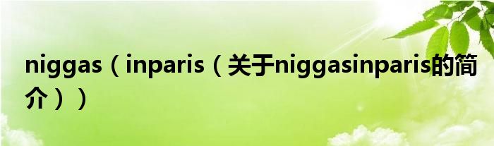 niggas（inparis（關(guān)于niggasinparis的簡(jiǎn)介））