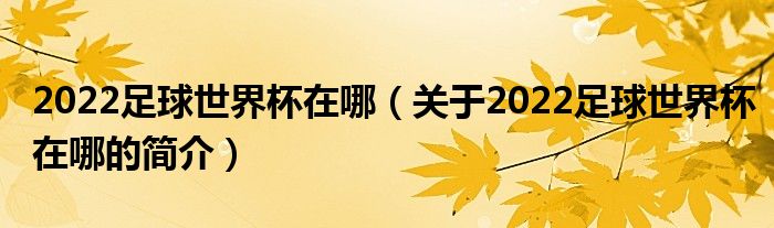 2022足球世界杯在哪（關于2022足球世界杯在哪的簡介）