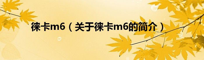 徠卡m6（關(guān)于徠卡m6的簡(jiǎn)介）