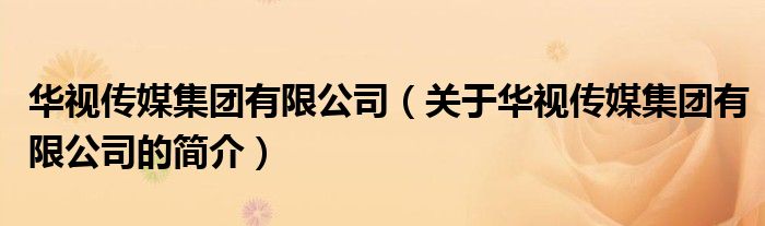 華視傳媒集團有限公司（關于華視傳媒集團有限公司的簡介）