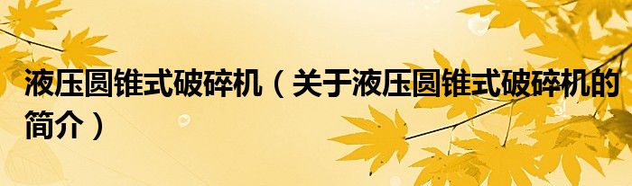 液壓圓錐式破碎機(jī)（關(guān)于液壓圓錐式破碎機(jī)的簡介）