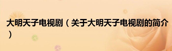 大明天子電視?。P(guān)于大明天子電視劇的簡介）