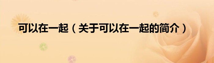 可以在一起（關(guān)于可以在一起的簡介）