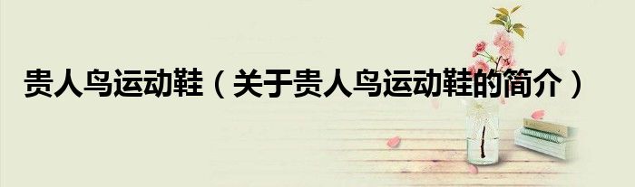 貴人鳥運動鞋（關于貴人鳥運動鞋的簡介）