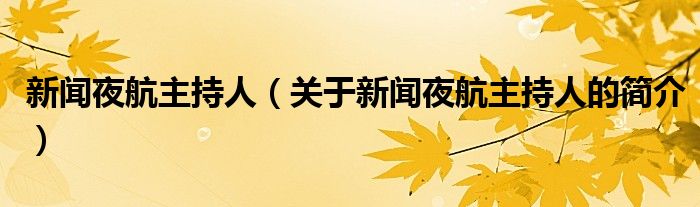 新聞夜航主持人（關(guān)于新聞夜航主持人的簡介）