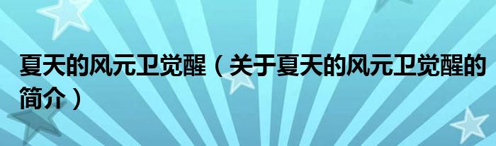 夏天的風元衛(wèi)覺醒（關于夏天的風元衛(wèi)覺醒的簡介）