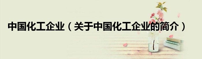 中國化工企業(yè)（關于中國化工企業(yè)的簡介）
