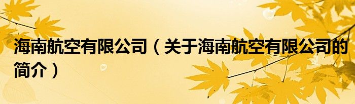 海南航空有限公司（關(guān)于海南航空有限公司的簡介）