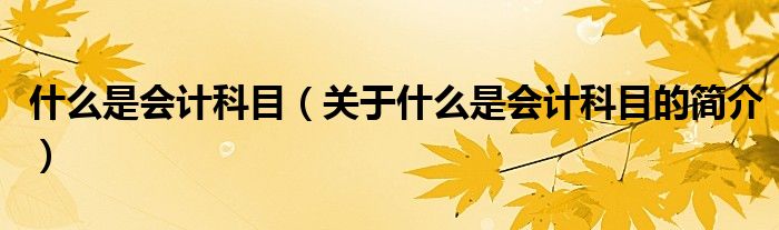 什么是會(huì)計(jì)科目（關(guān)于什么是會(huì)計(jì)科目的簡介）