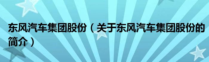 東風汽車集團股份（關(guān)于東風汽車集團股份的簡介）