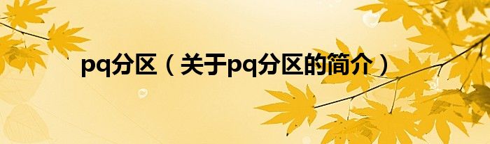 pq分區(qū)（關(guān)于pq分區(qū)的簡(jiǎn)介）
