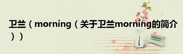 衛(wèi)蘭（morning（關(guān)于衛(wèi)蘭morning的簡(jiǎn)介））